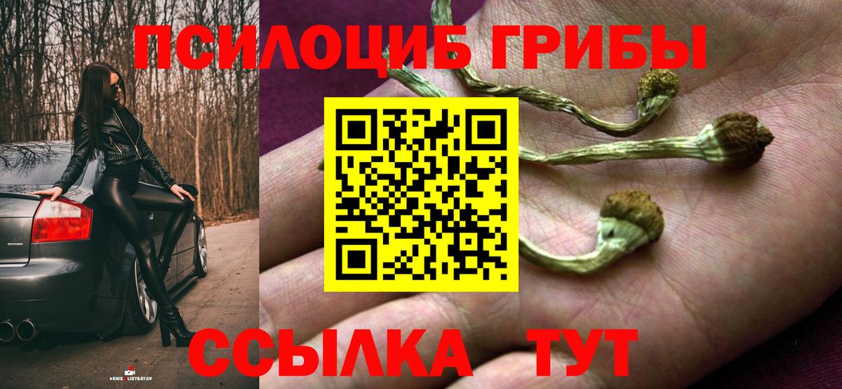 Галлюциногенные грибы GOLDEN TEACHER  Галлюциногенные грибы GOLDEN TEACHER  Саратов  Вход с VPN 