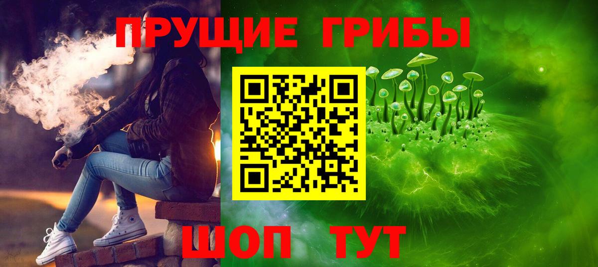Псилоцибиновые грибы Psilocybe Саратов